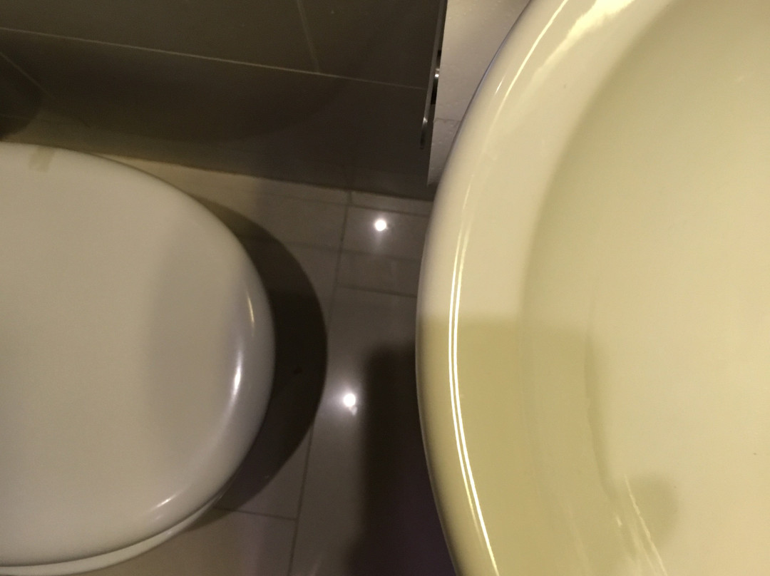 Homestay Hotel主图