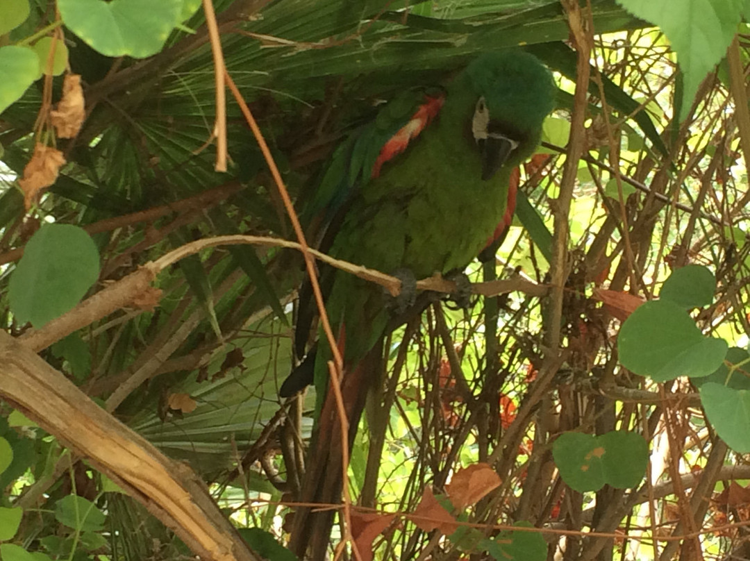 Belurana River Boutique Guesthouse主图