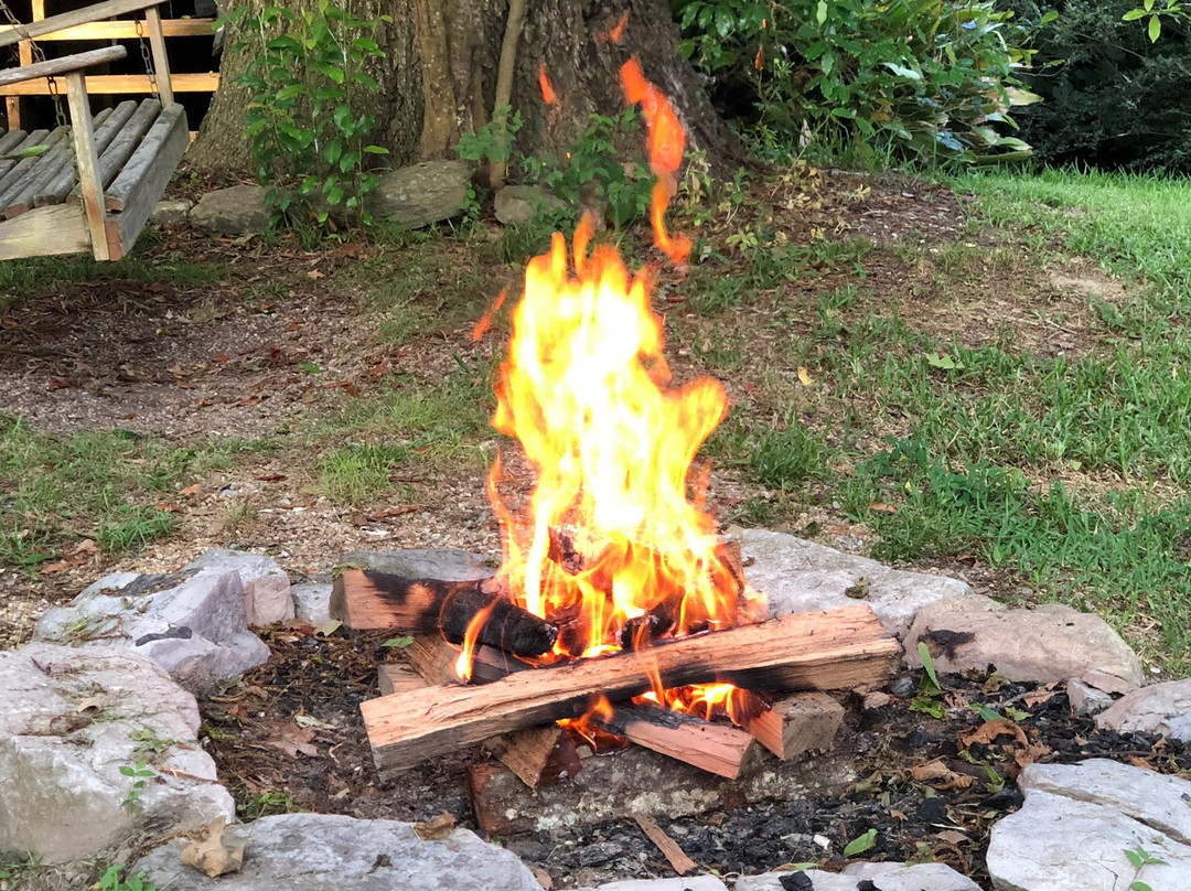 Shadetree Inn B&b主图