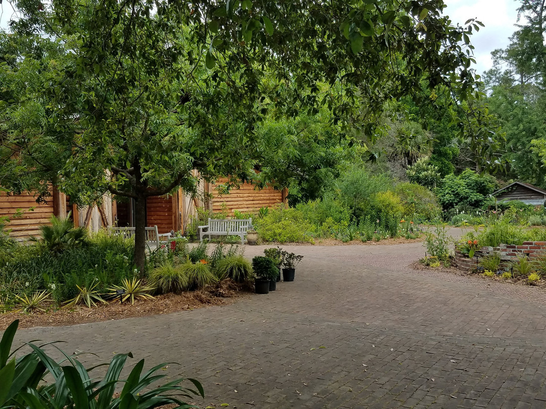 Garden of the Coastal Plain at Georgia Southern University-斯泰茨伯勒必去景点