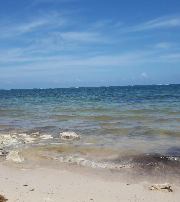 Ammaris Beach Club-从莫雷洛斯港必去景点