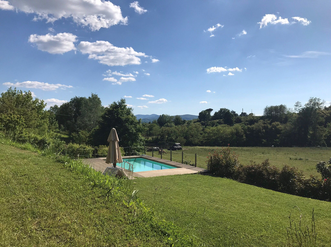 B&B Il Fienile di Scarperia - Mugello主图