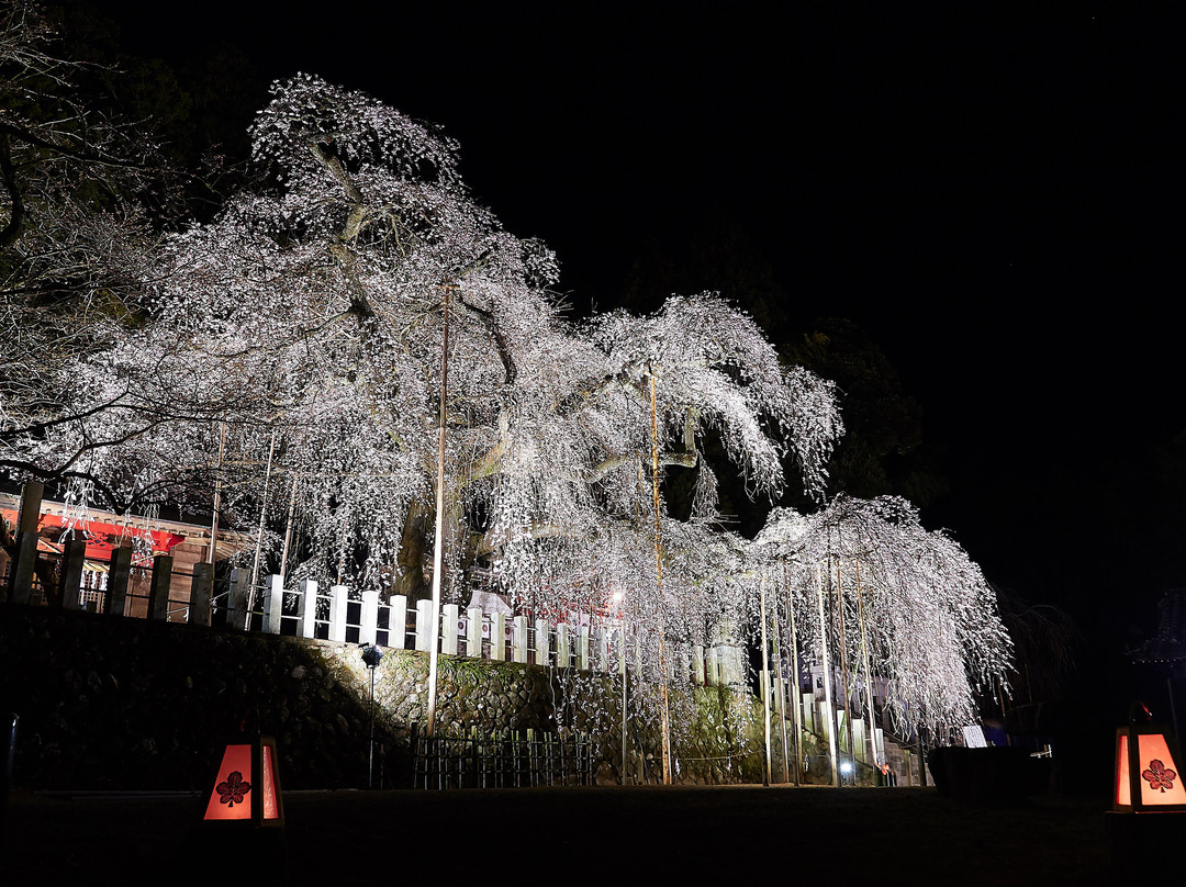 Ogawa Suwa Shrine-盘城市必去景点