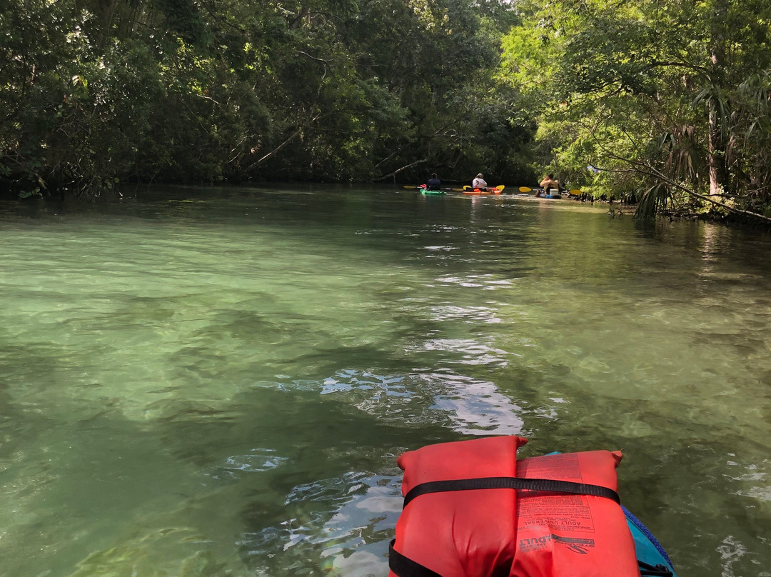 The Kayak Shack景点图片