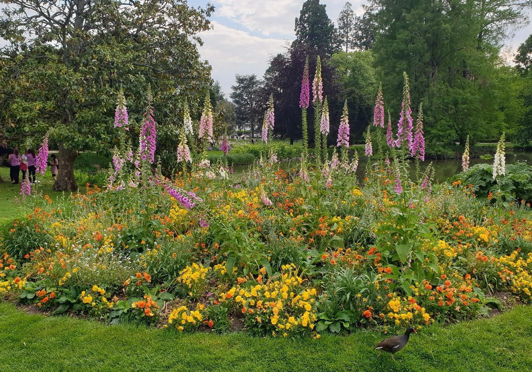 Jardins des Prébendes d'Oé景点图片