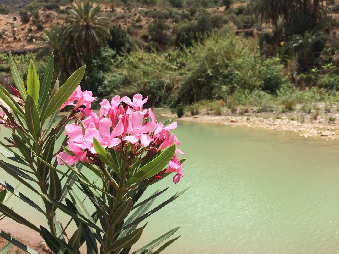 Tawada Hiking-奥瑞尔必去景点