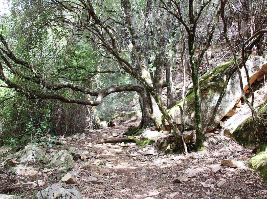Cascata di Muru Mannu-Gonnosfanadiga必去景点