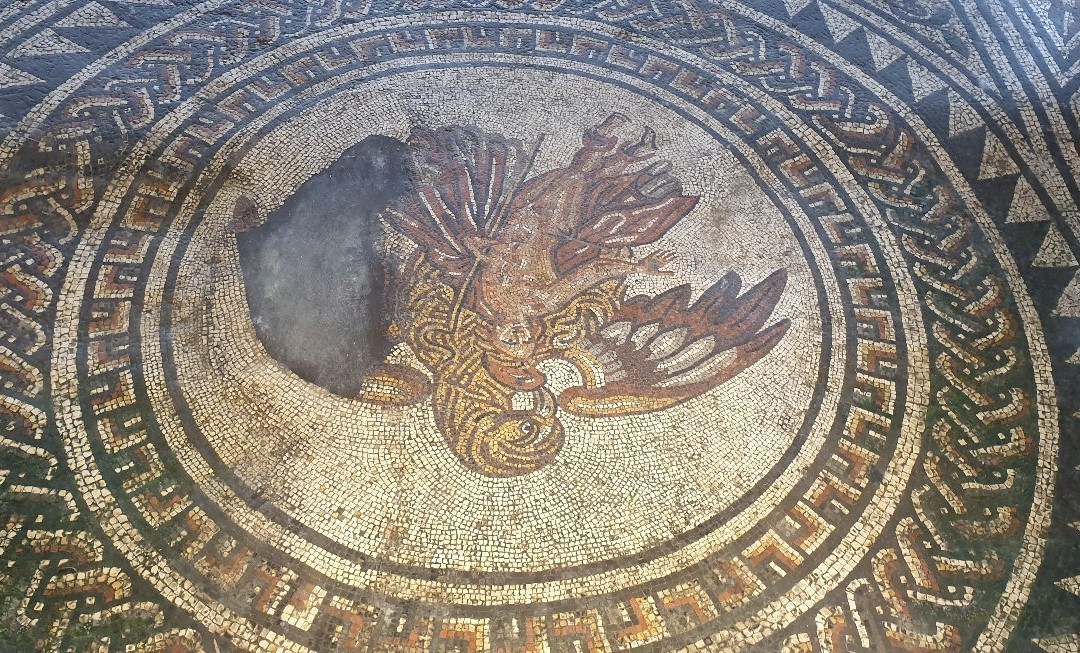 Bignor Roman Villa景点图片