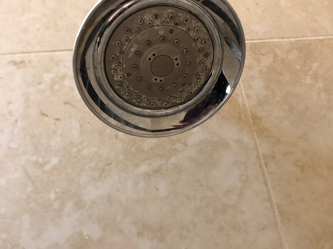 Holiday Inn & Suites Mckinney - N Allen By IHG主图