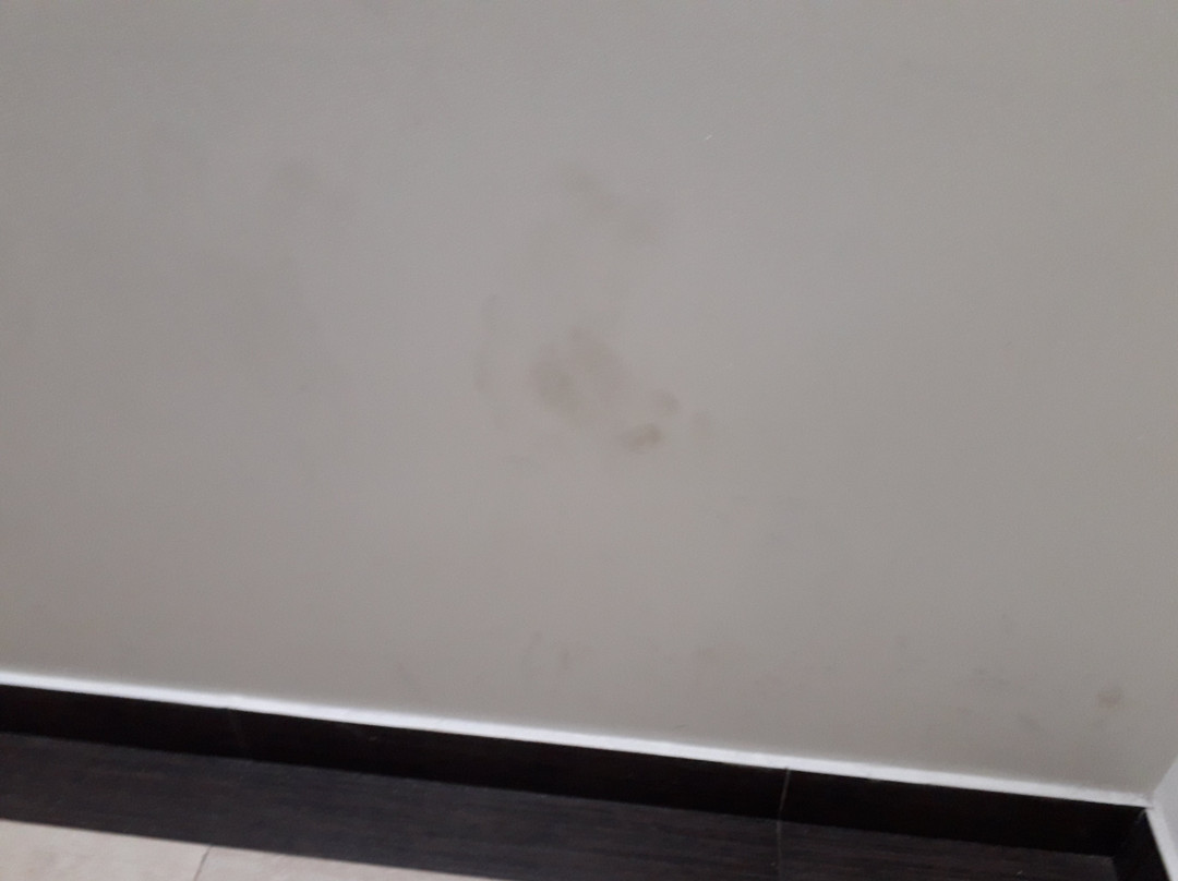 Green Hill Hotel P.Ltd主图