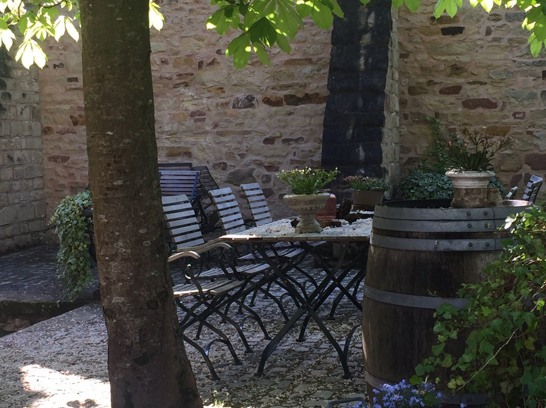 Weingut & Gastehaus GiwerGreif主图