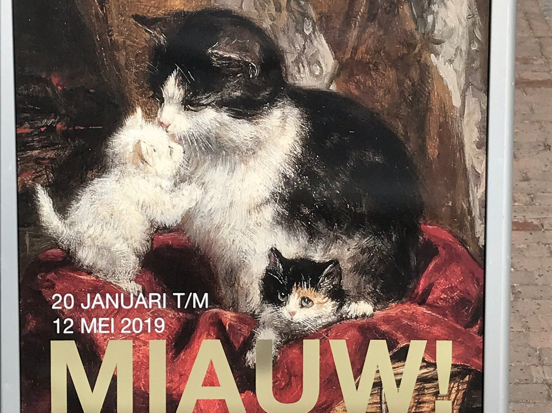 Vianen stedelijk museum-Vianen必去景点
