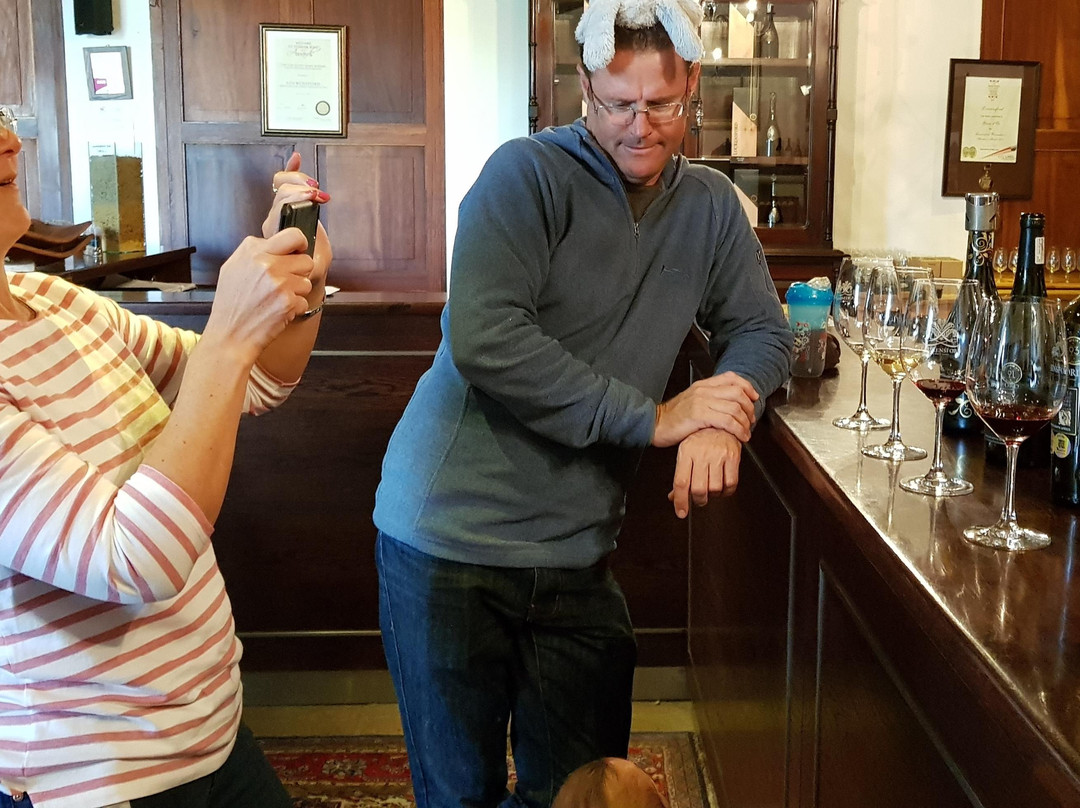 Double Gold Tours-开普敦中心区必去景点