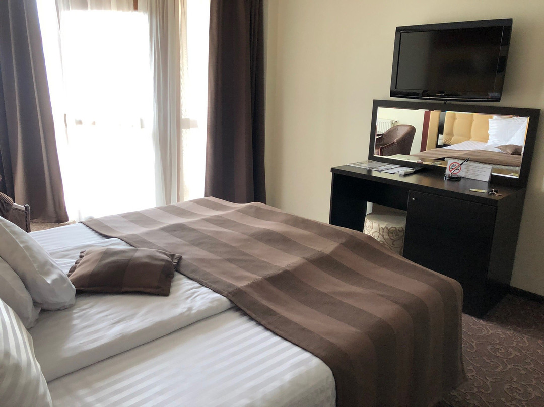 Hotel Ozana主图