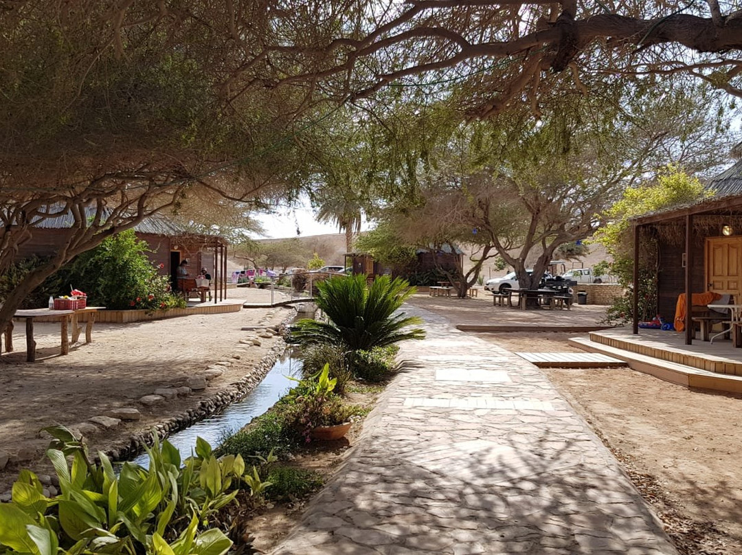 Antelope Ranch in the Arava Valley景点图片