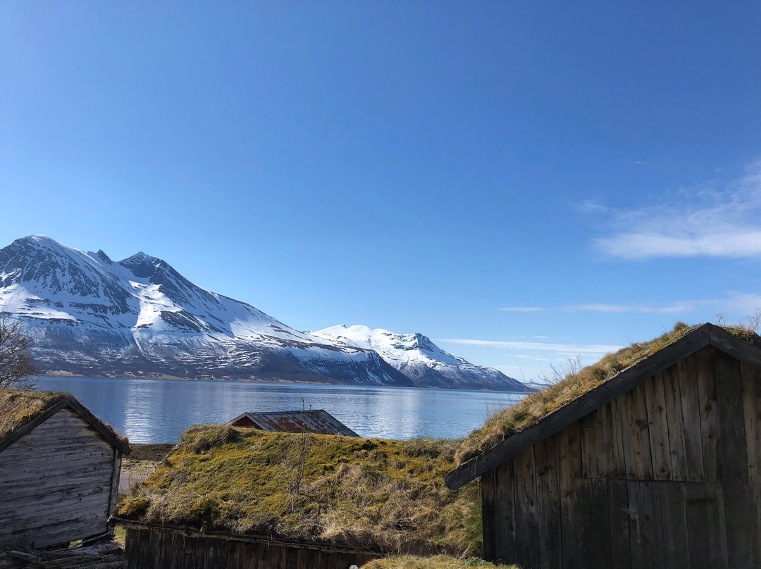 Tromsø Individuell景点图片
