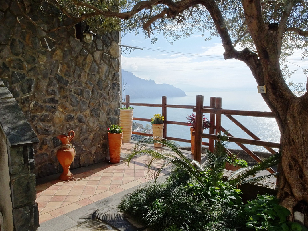 World Center Resort主图