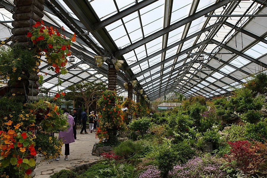 Hampyeong Expo Park - Natural Ecological Museum景点图片