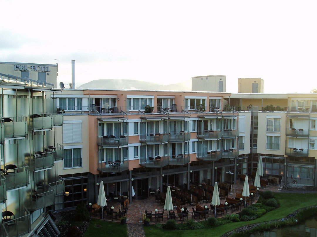 Dorint Parkhotel Bad Zurzach主图