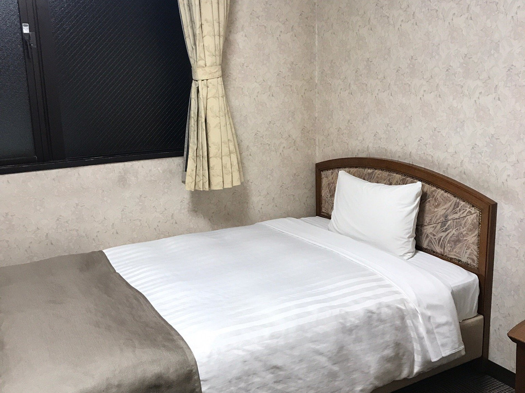 Shin-Matsudo Station Hotel主图