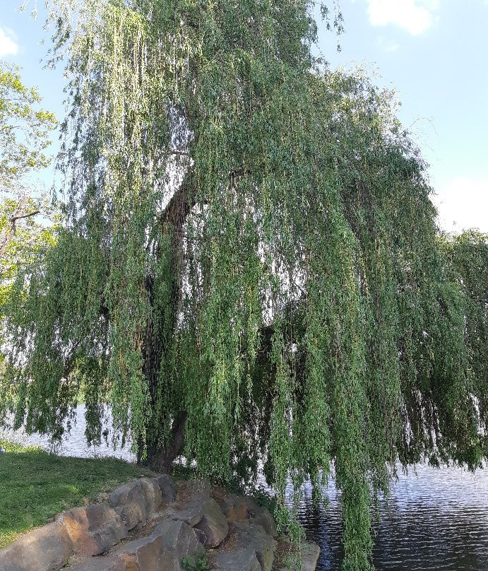 Parc de Champagne景点图片