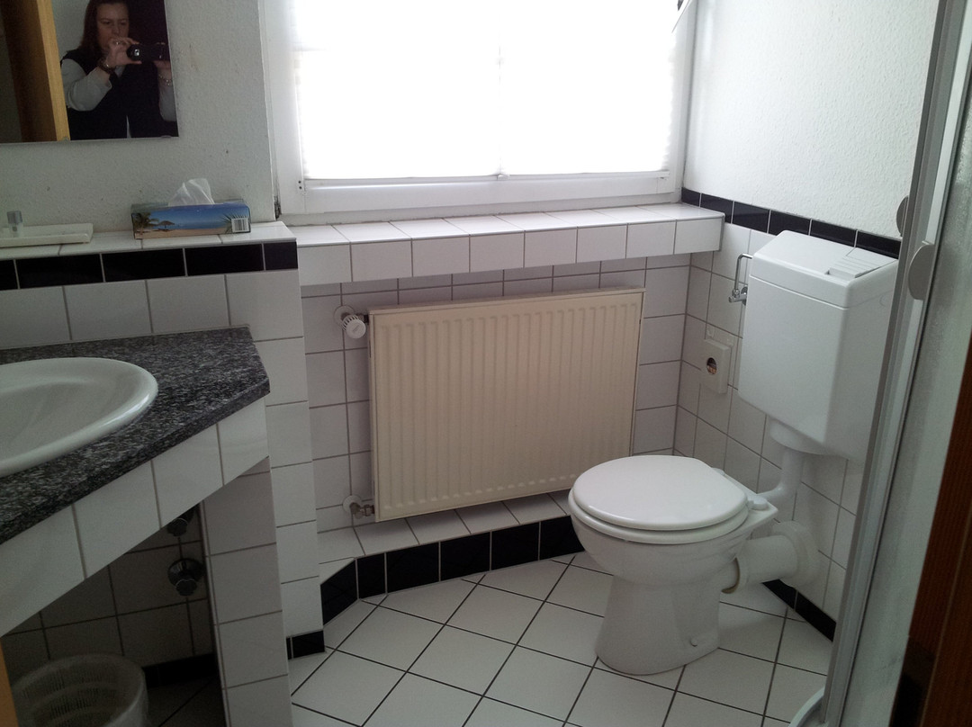 Hotel & Weinstube Weinheber主图