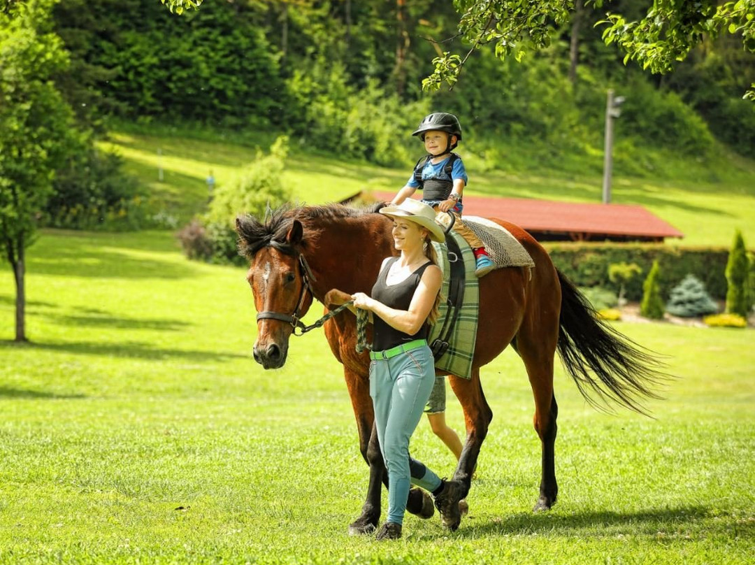 Villa Betula Resort - Horse Riding Arena景点图片