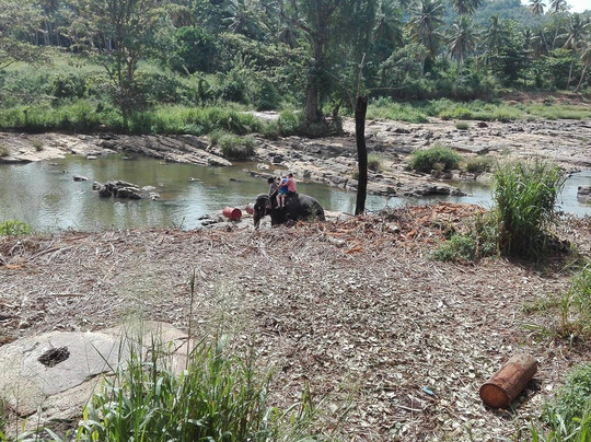 Gimhana Tours-Ja Ela必去景点