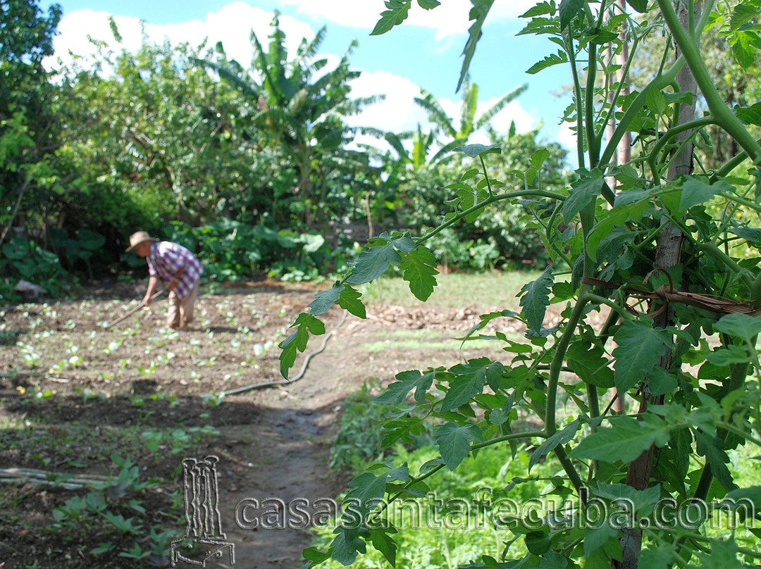 Cabana del Sol - Ecological Farm主图
