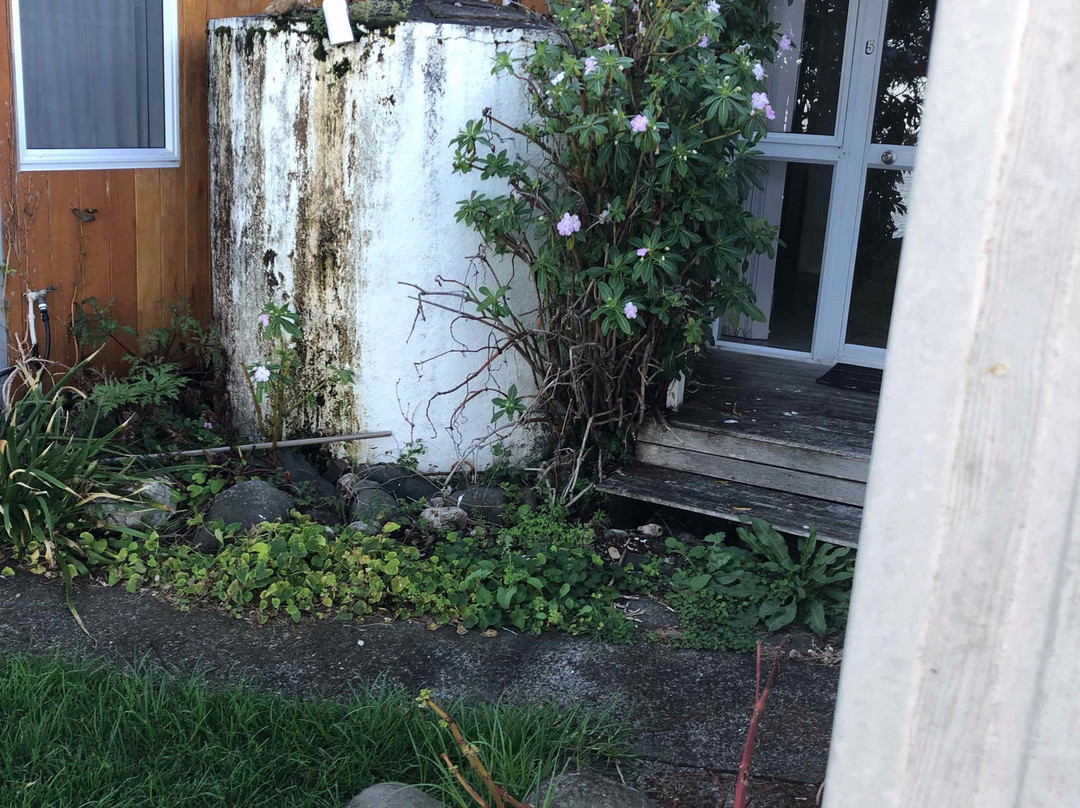 Seaspray Motel主图