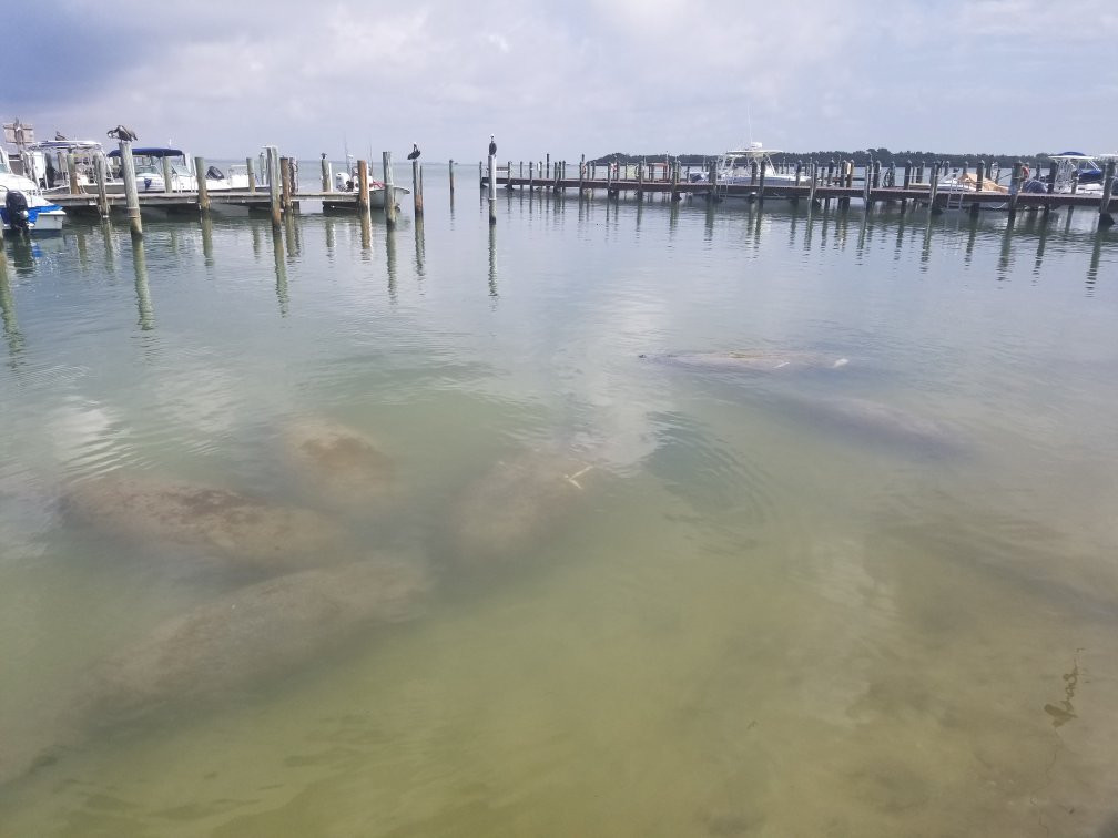 Captain Bubby's Island Tours景点图片