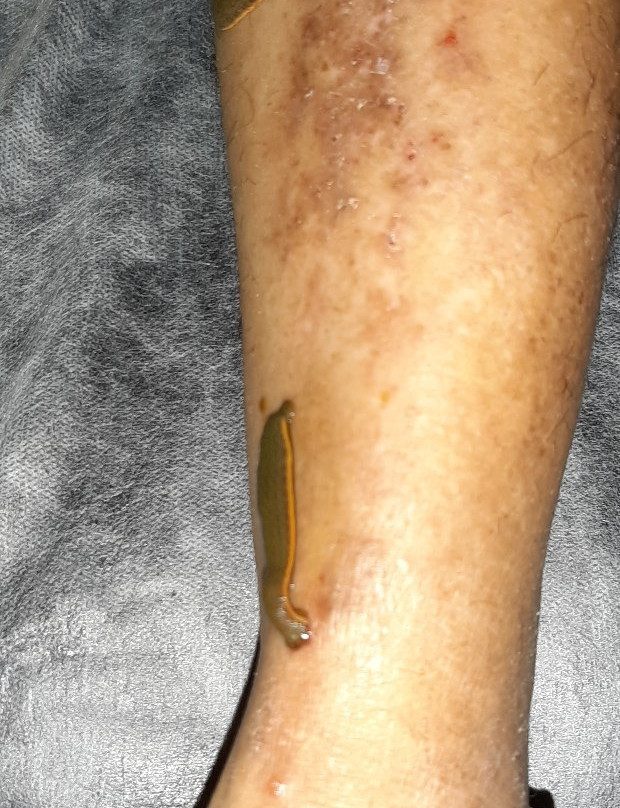 Yashraj Clinic-加兰古特必去景点