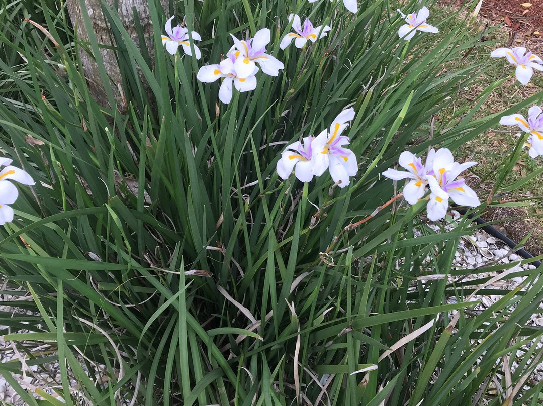 Leonardi's Nursery Landscaping景点图片