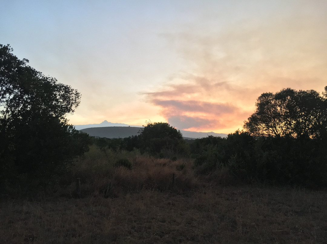 Sandai Farm Gästehaus & Ferienhäuser主图