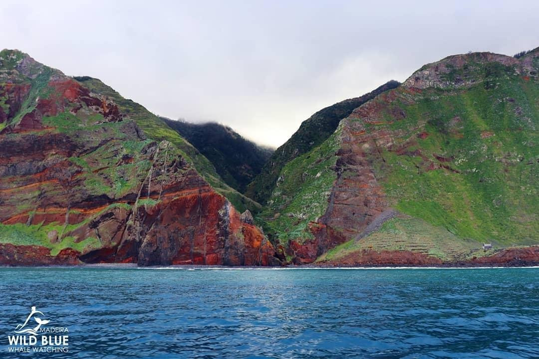 Madeira Wild Blue - Tours & W.W.-卡列塔必去景点