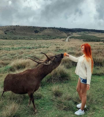 Spring Holidays-班托塔必去景点