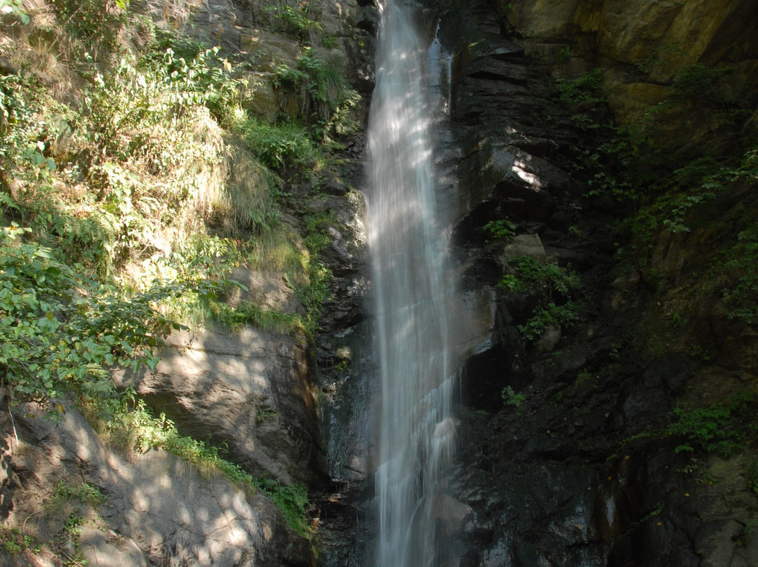 Pension Strauss主图