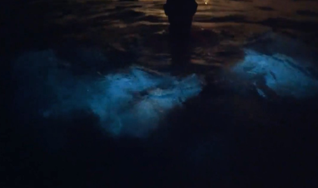 Borikua Tours-圣胡安必去景点