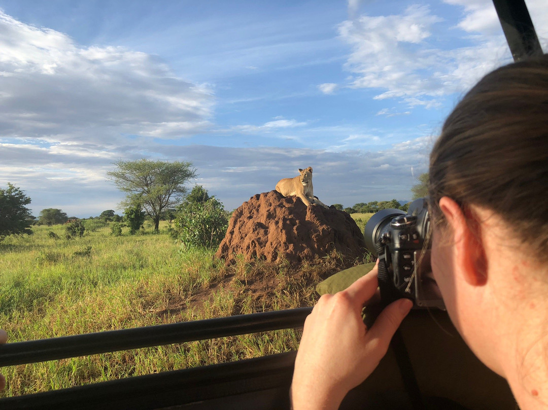 Roy Safaris景点图片