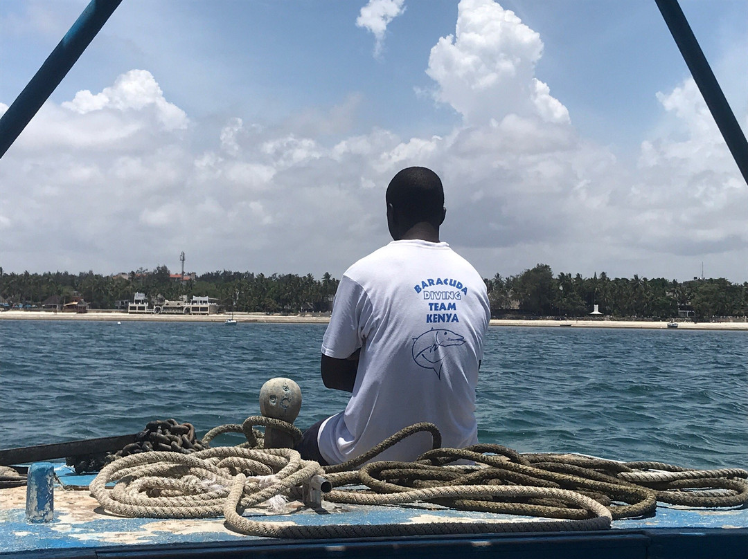 Baracuda Diving-蒙巴萨必去景点