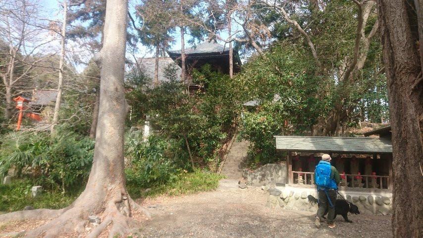 Hiyoshi Shrine景点图片
