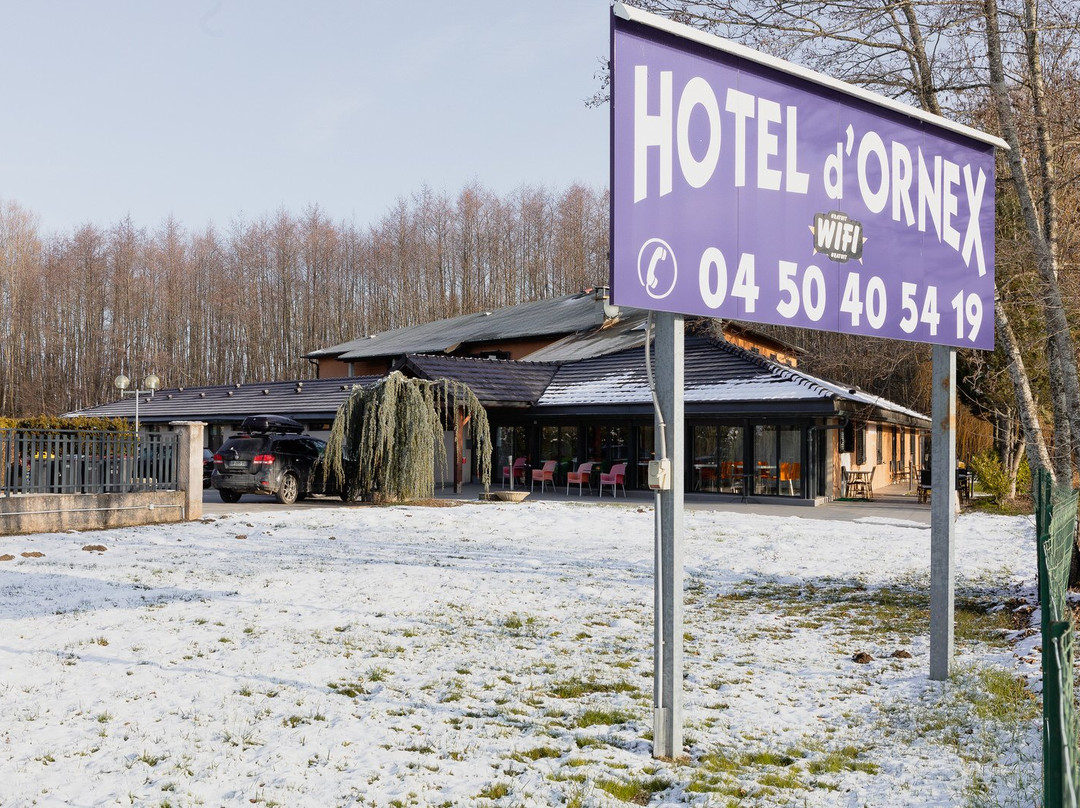 Hotel d'Ornex主图
