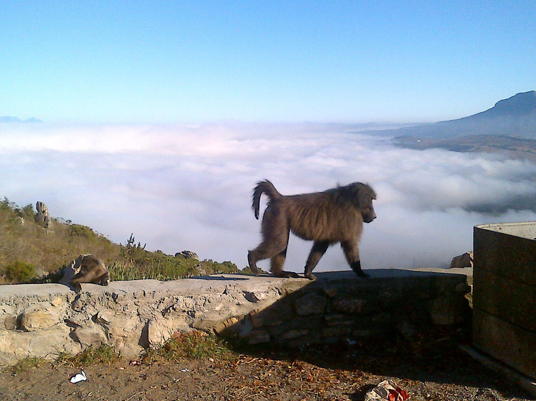 Esbend Tours & Adventures-斯特兰必去景点