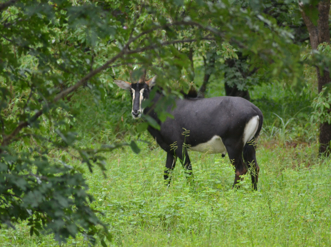 Muizenberg Tours and Travel-开普敦中心区必去景点
