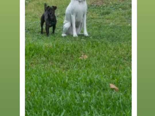 Parque Florentino Ameghino-布宜诺斯艾利斯必去景点