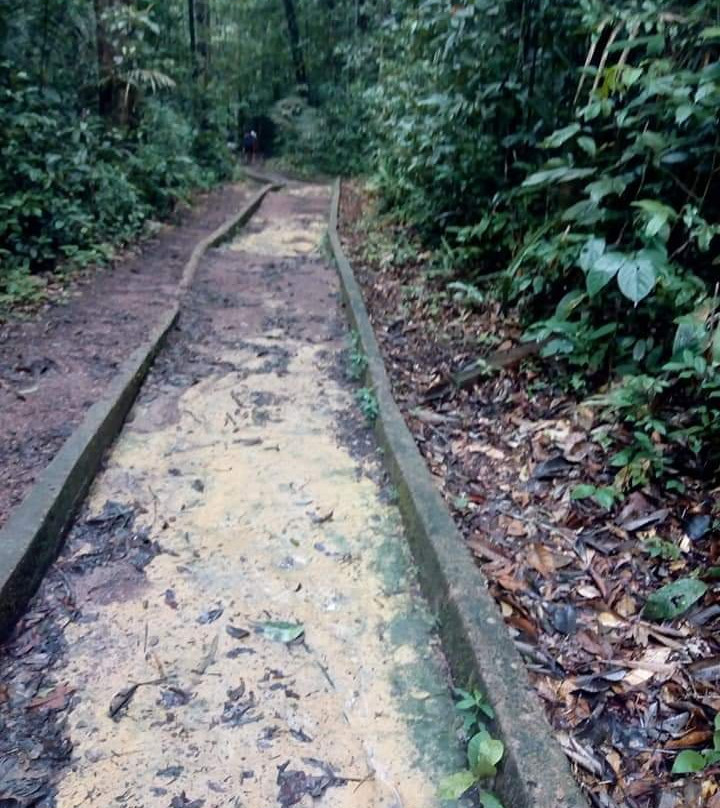 Cachoeira das Orquideas-Presidente Figueiredo必去景点