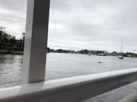 DolFun Tours-墨尔本必去景点