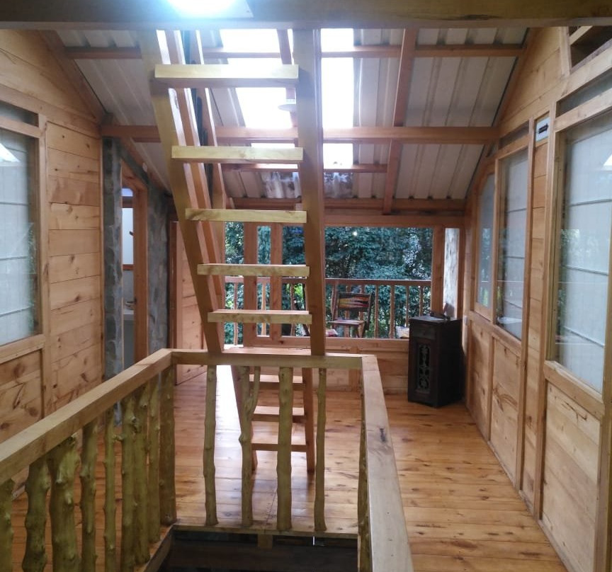 Urapanes Del Bosque主图