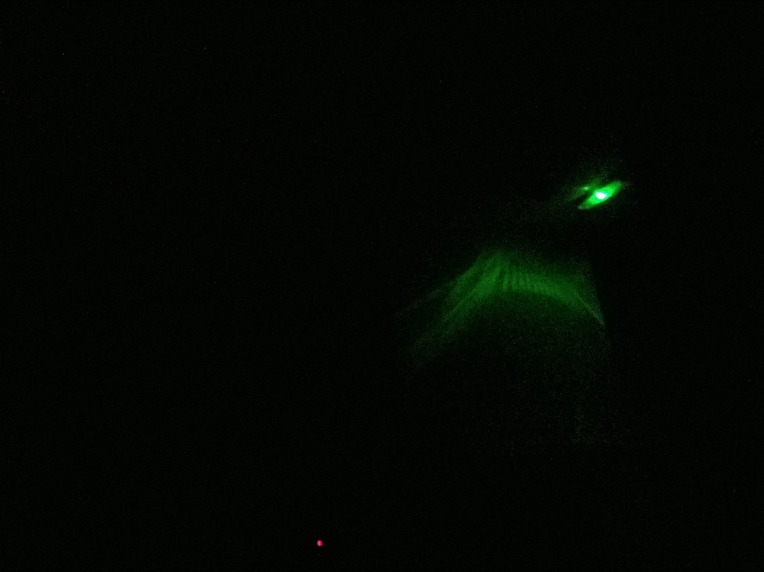 黑牛高德曼彻斯特宾馆主图