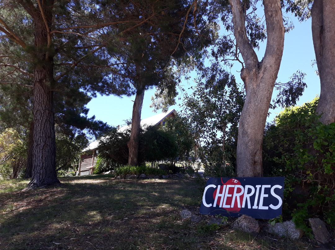 Cherrydale Orchard-坦特菲尔德必去景点